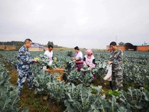 沾益天生桥最新爆料,最新爆料揭示世界奇观背后故事  第2张