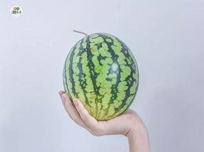 吃瓜最新入口免费,带你领略美味新境界 第2张 吃瓜最新入口免费,带你领略美味新境界 第2张